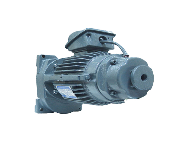 50HZ Reduction Brake Motor